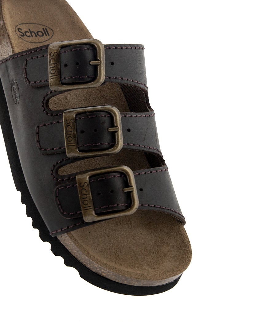 Scholl Brun Toffel