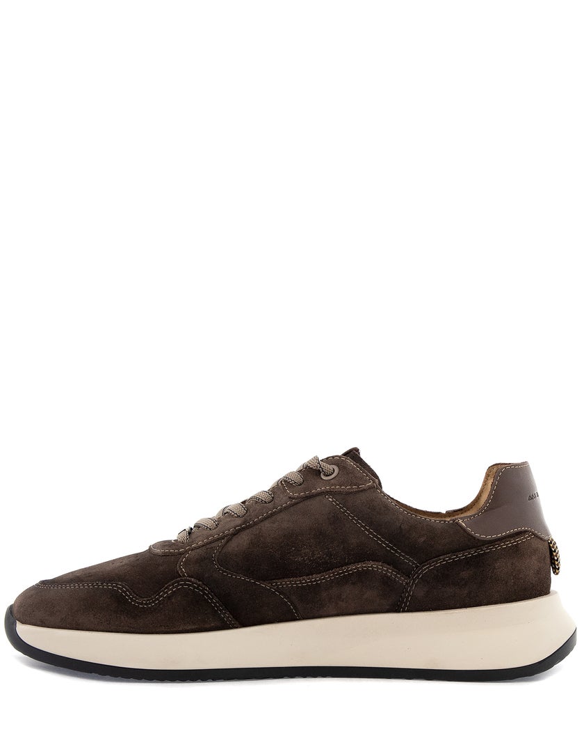 Ambitious Brun Sneakers