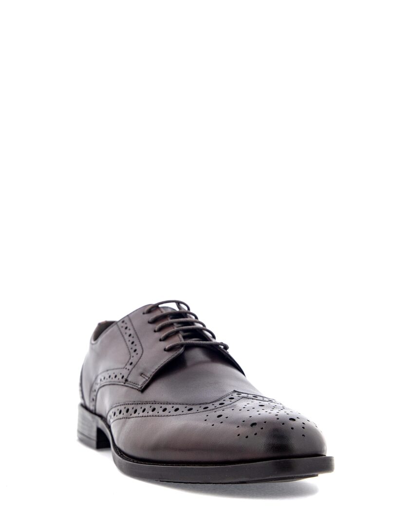 N.Bergqvist Brun Lågsko