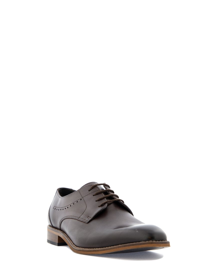 Premiato Brun Lågsko