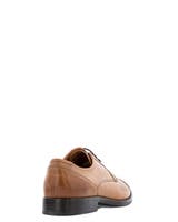 Premiato Brun Lågsko